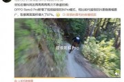 常绿干部爆料视频播放,揭秘幕后的权力游戏