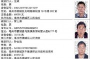 新闻爆料失踪人名单查询,紧急追踪，揭秘失踪者命运之谜