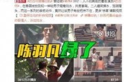 王四粉丝爆料视频最新消息,最新视频揭露惊人内幕！