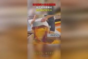 爆料食品视频大全,爆料视频大全深度解析