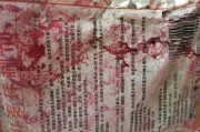 舞帝二哈爆料网站大全最新,揭秘网站大全背后的精彩故事