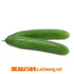 吃瓜娱乐百科大全